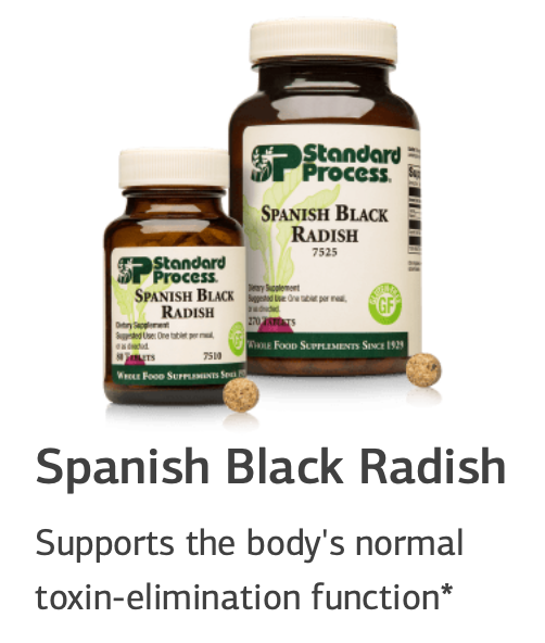 Spanish Black Radish